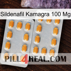 Sildenafil Kamagra 100Mg cialis4